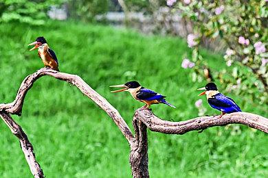 《受折磨的灵魂2》已发售 Steam优惠售价97.2元