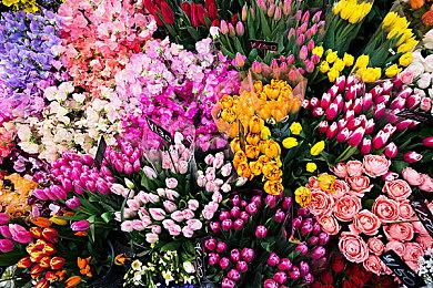 《Dungeon Drafters》上架Steam 卡牌构筑迷宫游戏